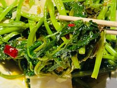 -雀舞云南菜(天津天河城购物中心店)