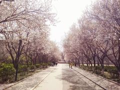 -山东师范大学(千佛山校区)