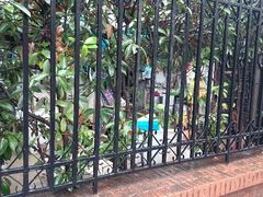 android_upload_pic-璐坊粽王(复兴中路店)