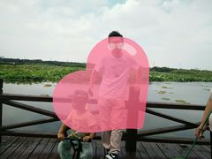 -荷塘月色湿地公园·向阳花洲