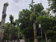 -莲湖公园