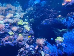 -海合安青岛极地海洋公园