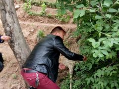 -盛世牡丹苑生态文化旅游区