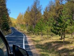 -塞罕坝国家级自然保护区