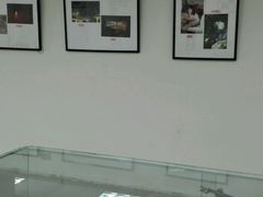 android_upload_pic-林曦明现代剪纸艺术馆