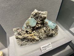 -贵州省地质博物馆