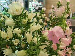 -EVERNAKED裸蛋糕(SOHO天山店)