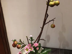 -普陀山雷迪森庄园