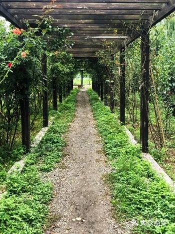 ️在这个绿树茵茵,百花盛开,的好季节,小朋友们