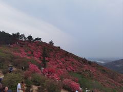 -木兰云雾山