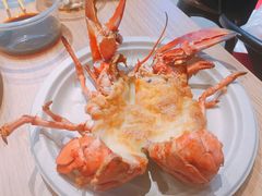 马苏里拉奶酪芝士焗波士顿龙虾-盒马X会员店(王府井奥莱UP TOWN店)