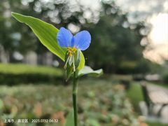 -南翔镇银翔湖公园