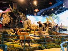 -陕西自然博物馆