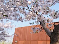 -龙美术馆(西岸馆)