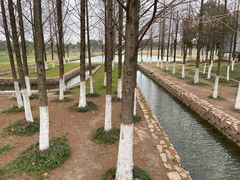 -滆湖低碳生态公园