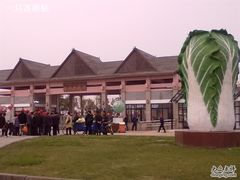 -上海都市菜园