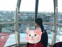 -墨尔本之星 观景摩天轮