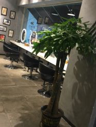 -时尚殿堂明星门店