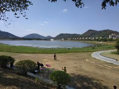 -风云岭森林公园