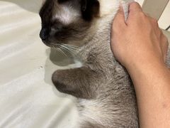 -藏猫猫咖啡主题馆(中央大道店)