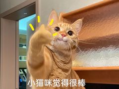 -槿言教育·雅思托福·国际教育·小语种培训留学中心(观音桥店)