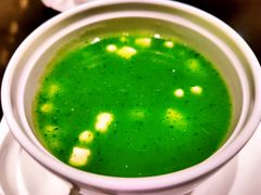 珍珠翡翠白玉汤-北京王府井希尔顿酒店·秦唐中餐厅Chynna