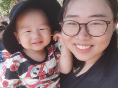 -合肥滨湖国家森林公园