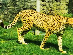 -北京野生动物园