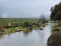 -中国茶叶博物馆(双峰馆区)