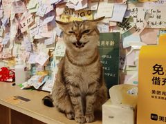-H立方实景剧情密室(天河旗舰店)