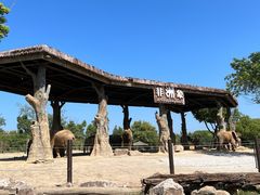 -上海野生动物园