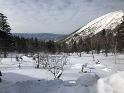 -大秃顶子山