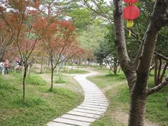 -广州市帽峰山景区