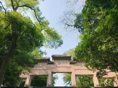 -灵谷景区