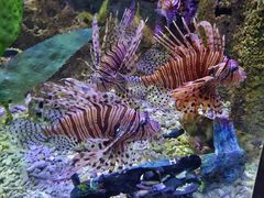 -太平洋海底世界