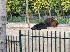 -秦皇岛野生动物园