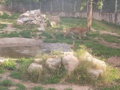 -西安秦岭野生动物园
