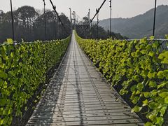 -石燕湖生态旅游景区