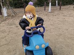 -菊园百果园