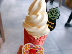 -麦当劳(新王府井店)