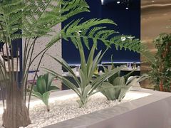 -兰湘子·湘菜小炒(崂山丽达店)