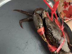 -Ministry of Crab•MOC(交子大道店)