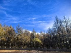 -白草畔自然风景区