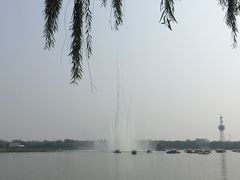 -大兴滨河森林公园