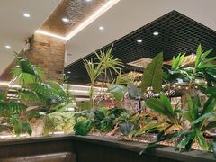 -寻牛记潮汕牛肉火锅(双喜城店)