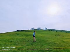 -大姆山草场