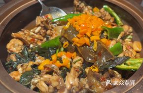 Stewed Turtle and Frog in Clay Pot
