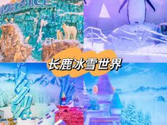 -长鹿旅游休博园
