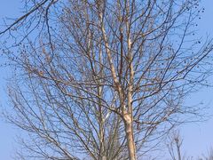 -武清南湖绿博园