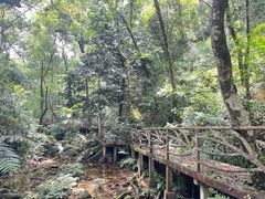 -海南热带雨林国家公园吊罗山景区